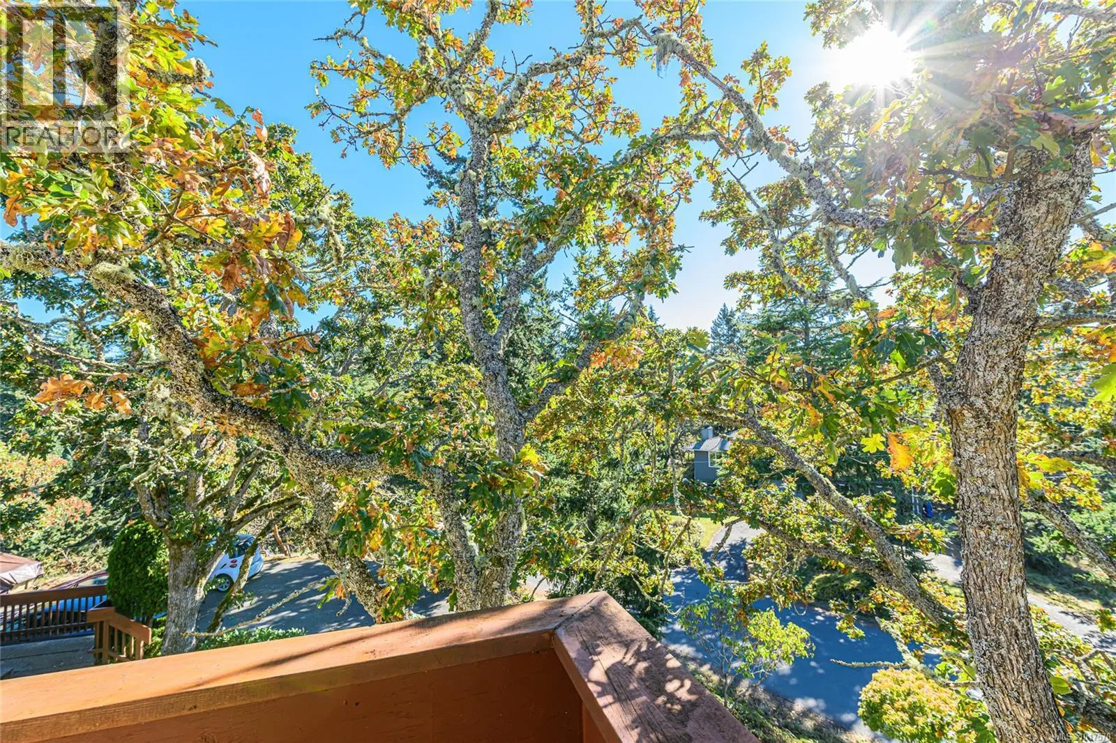 4727 Treetop Hts