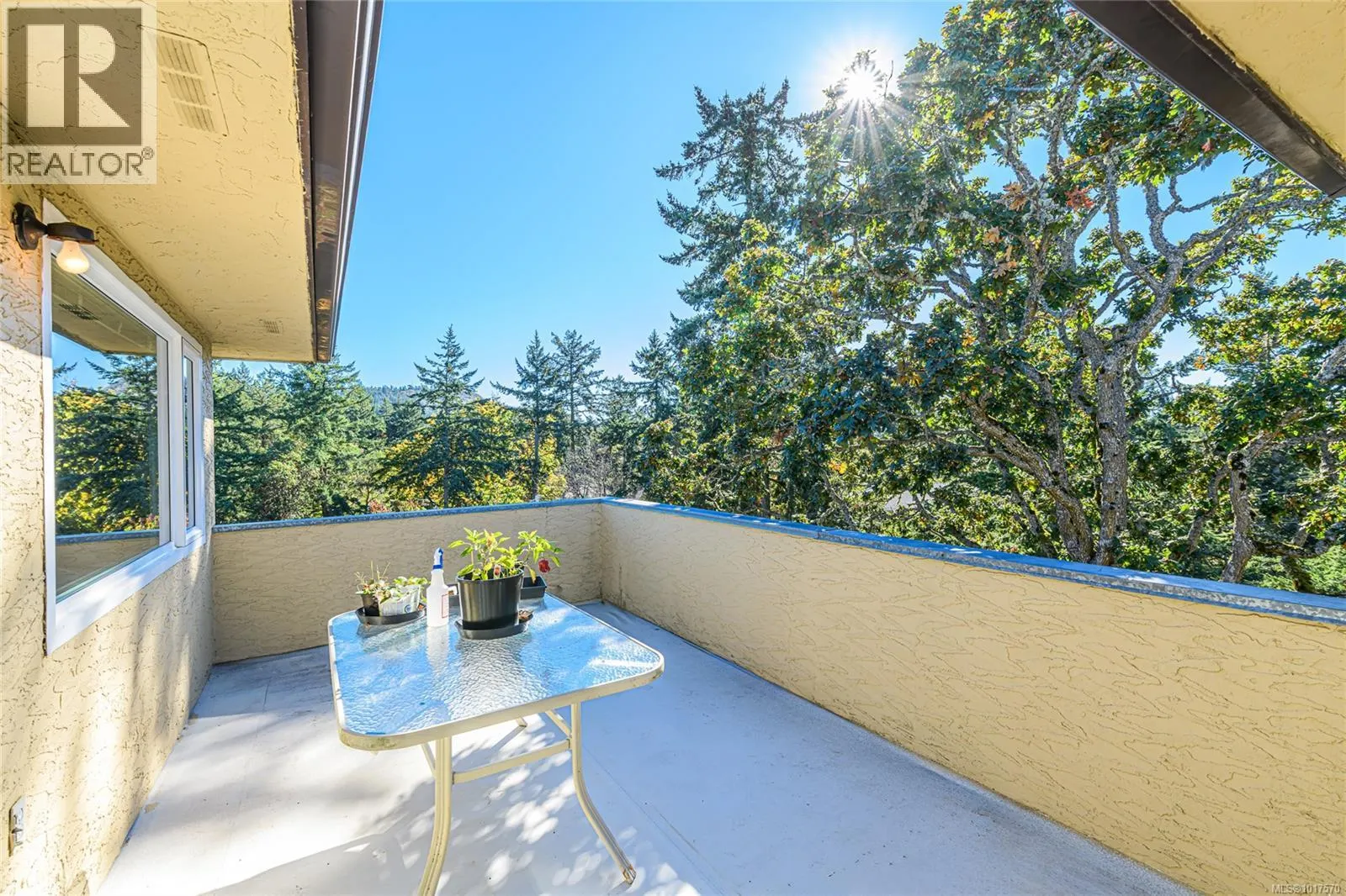 4727 Treetop Hts