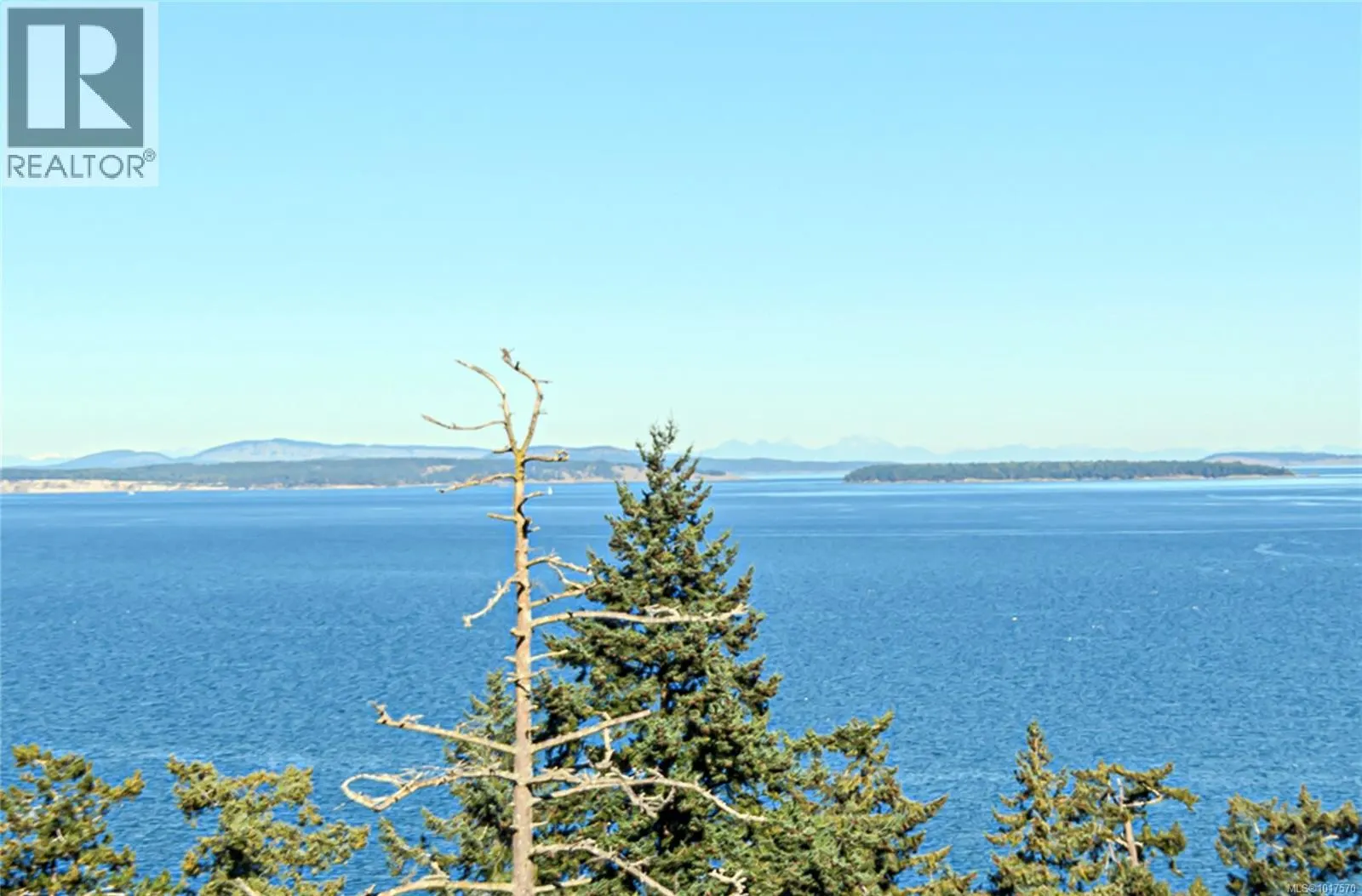 4727 Treetop Hts