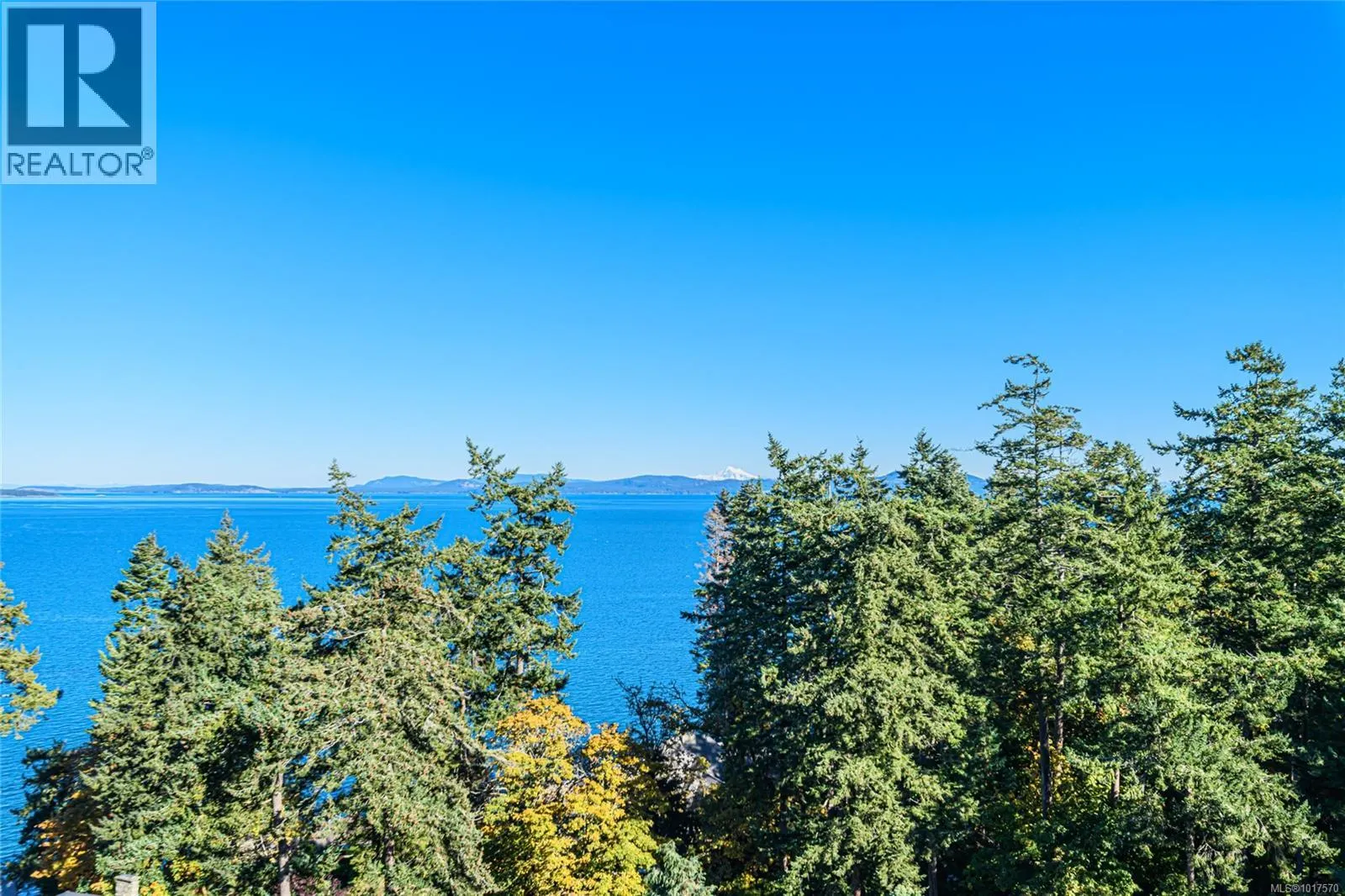 4727 Treetop Hts