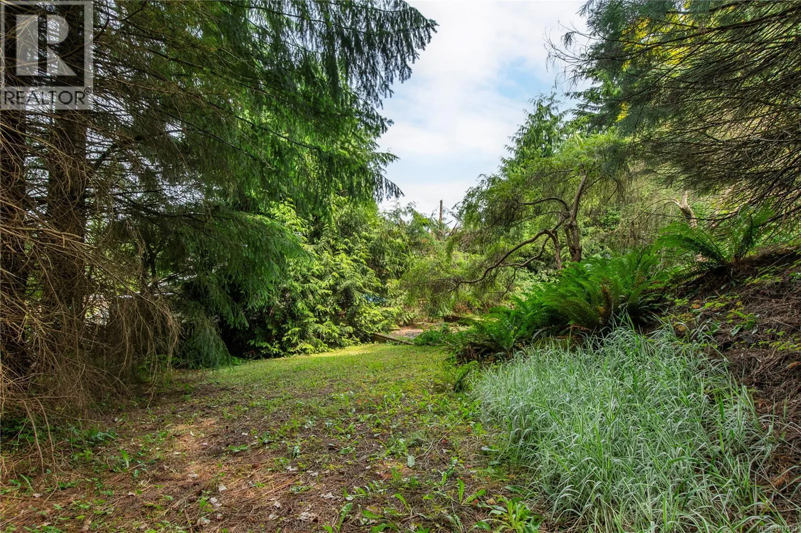 880 Pinecrest Rd