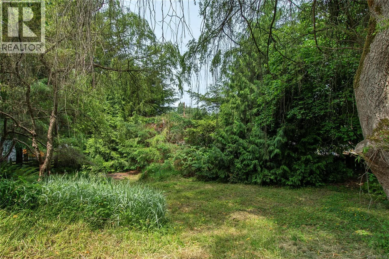 880 Pinecrest Rd