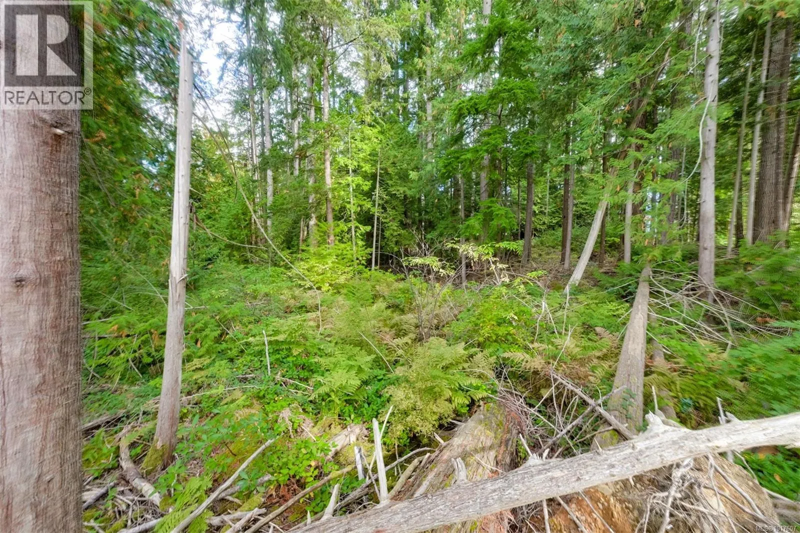 Lot 11 Katy's Cres