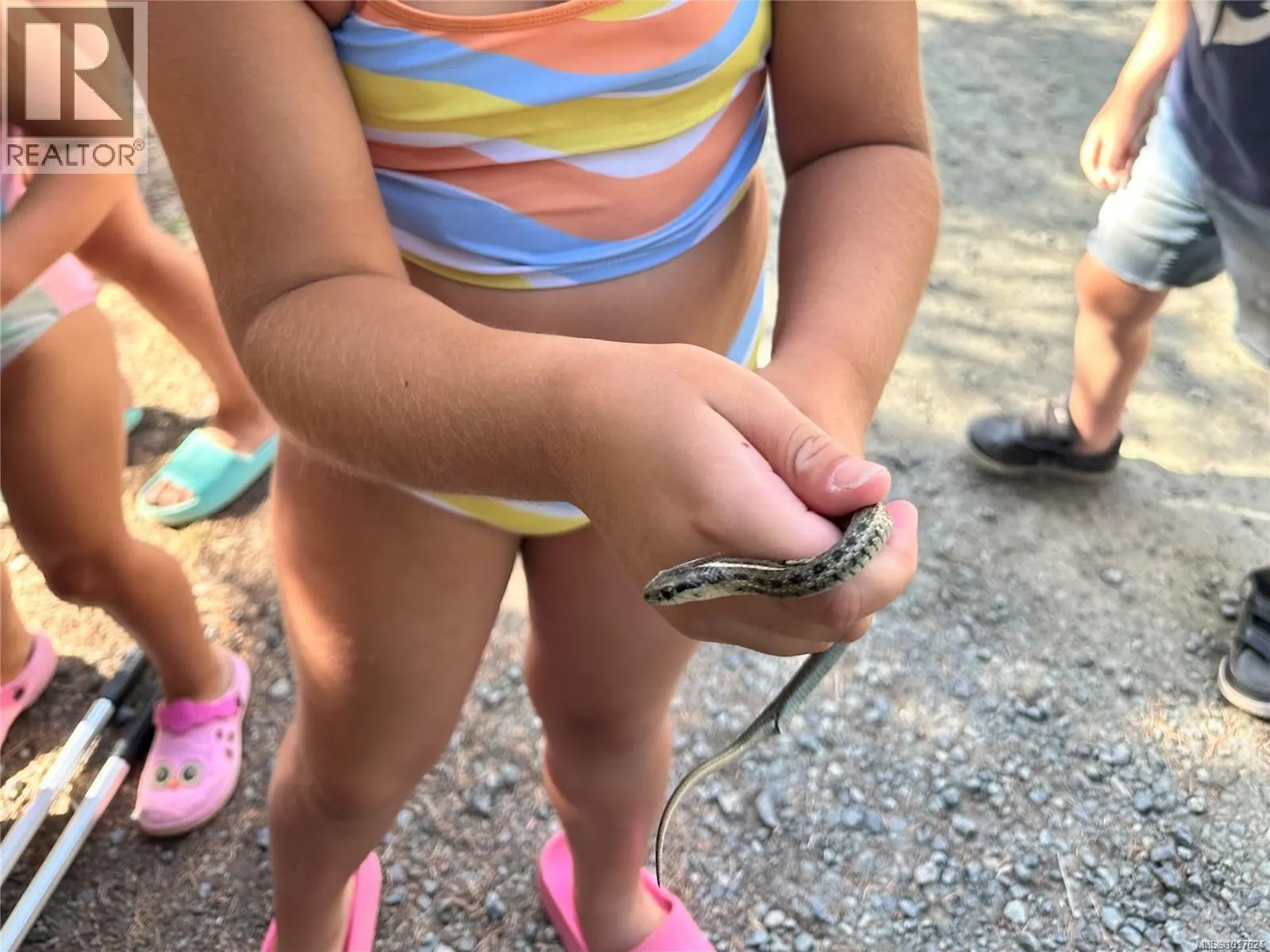 G12/13 2650 Turnbull Rd