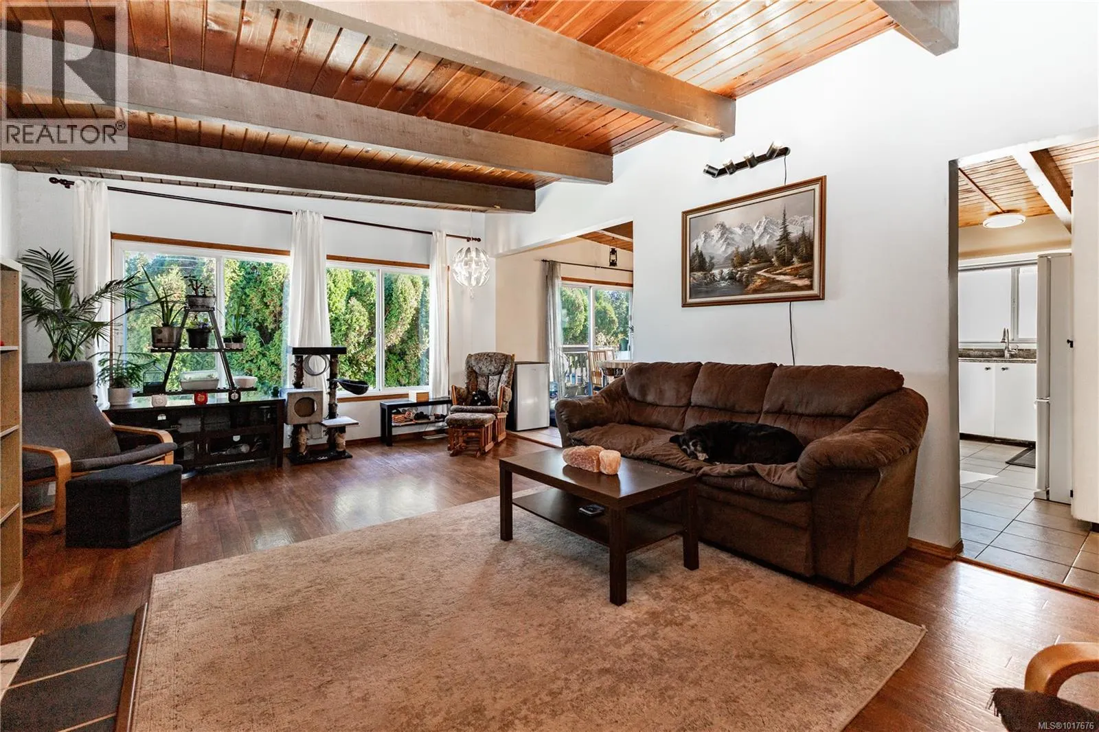 520 Dogwood St