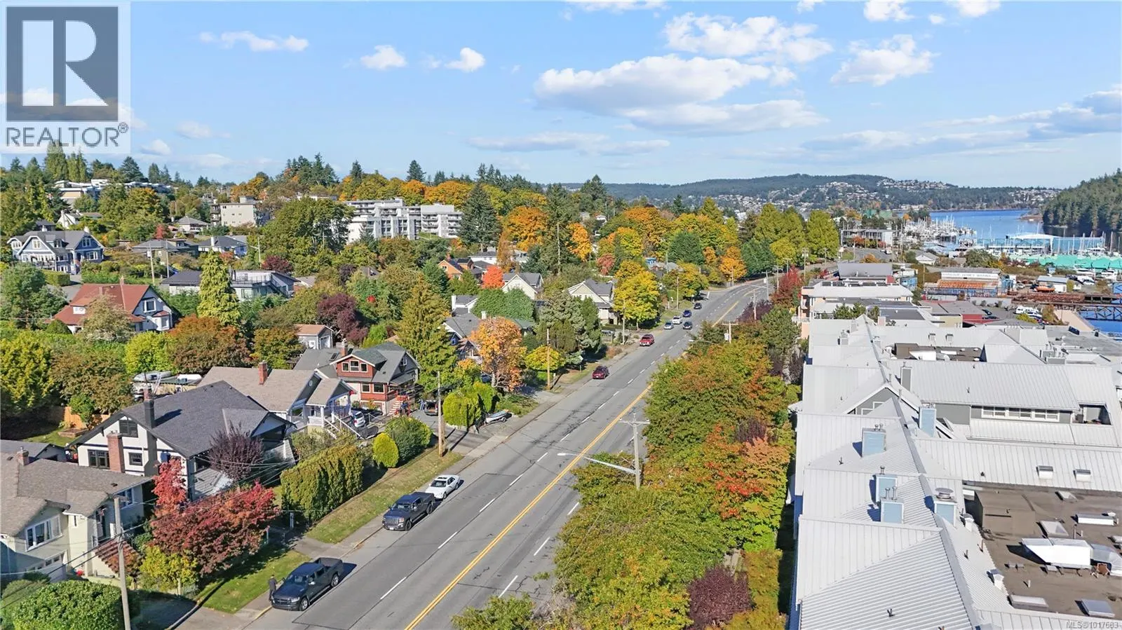505 Stewart Ave
