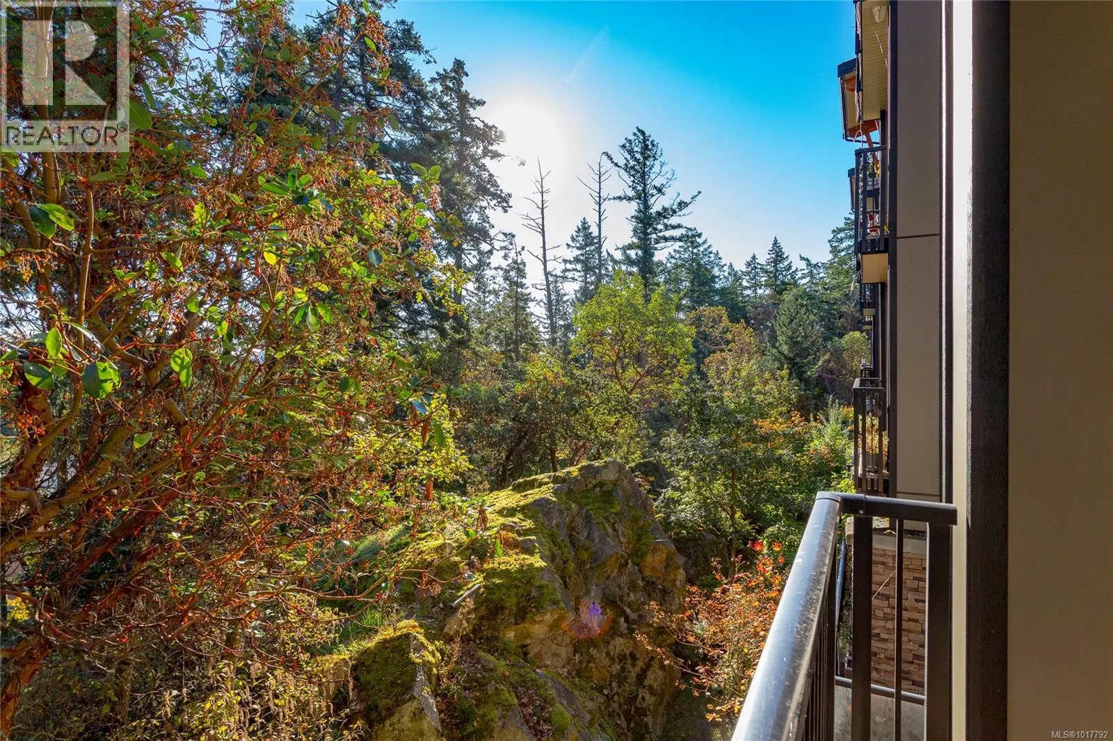 201 290 Wilfert Rd