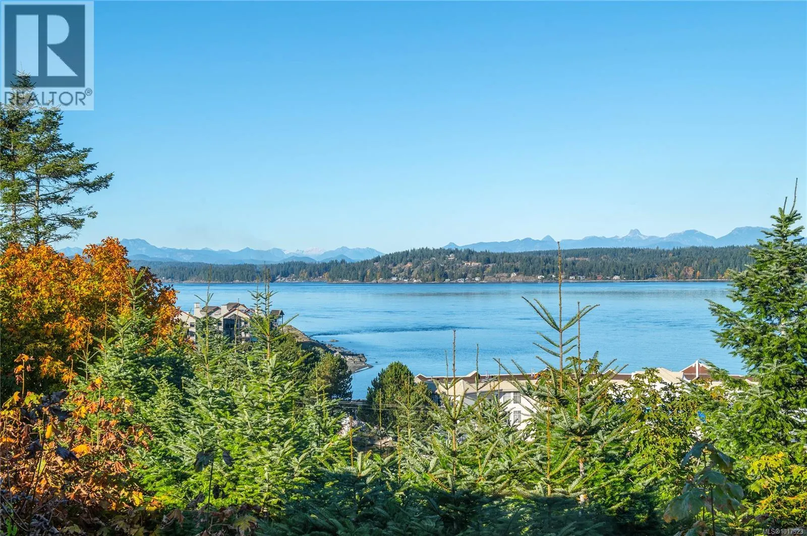 41 Ridgeview Pl