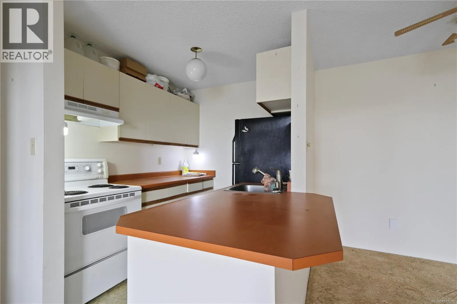 407 9942 Daniel St