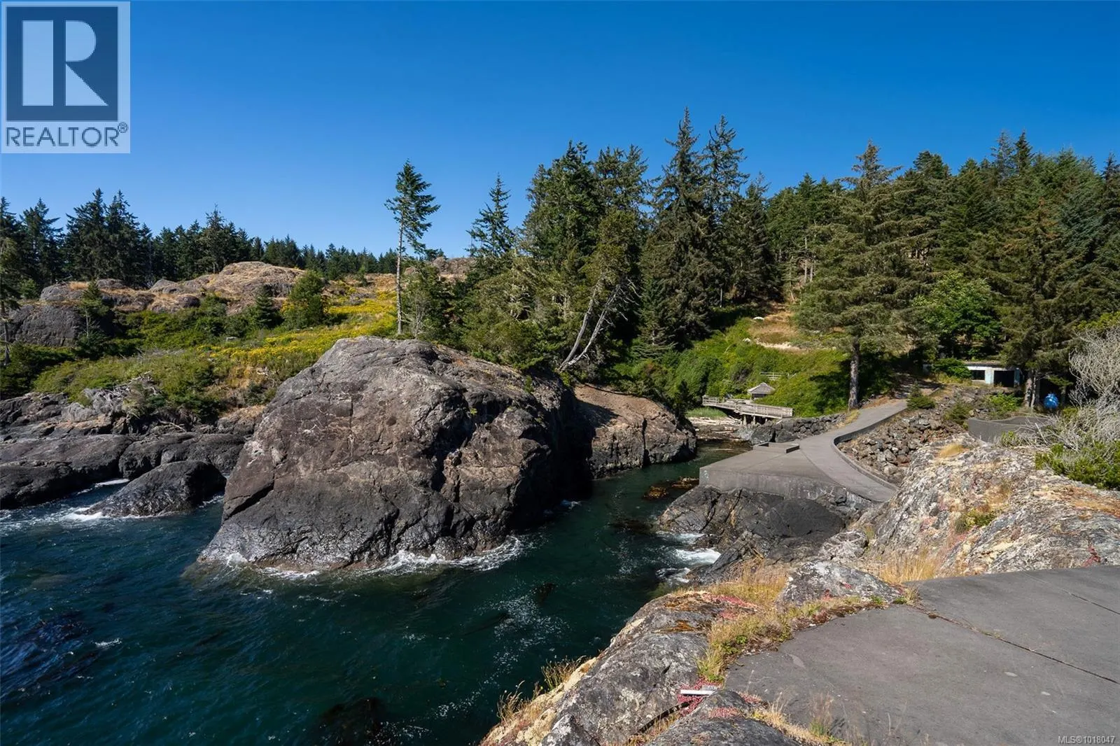 1188 Silver Spray Dr