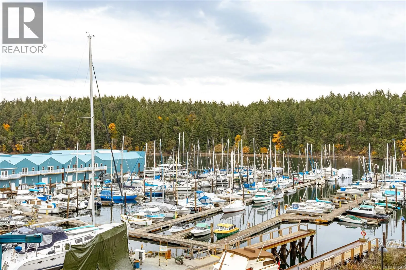 401 1250 Stewart Ave