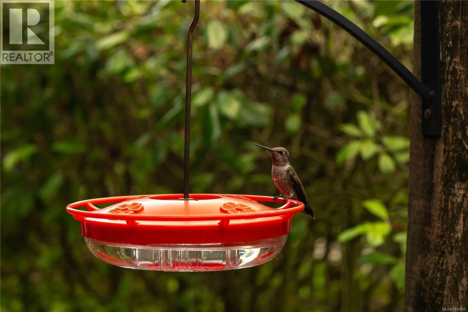 104 2111 Meredith Rd