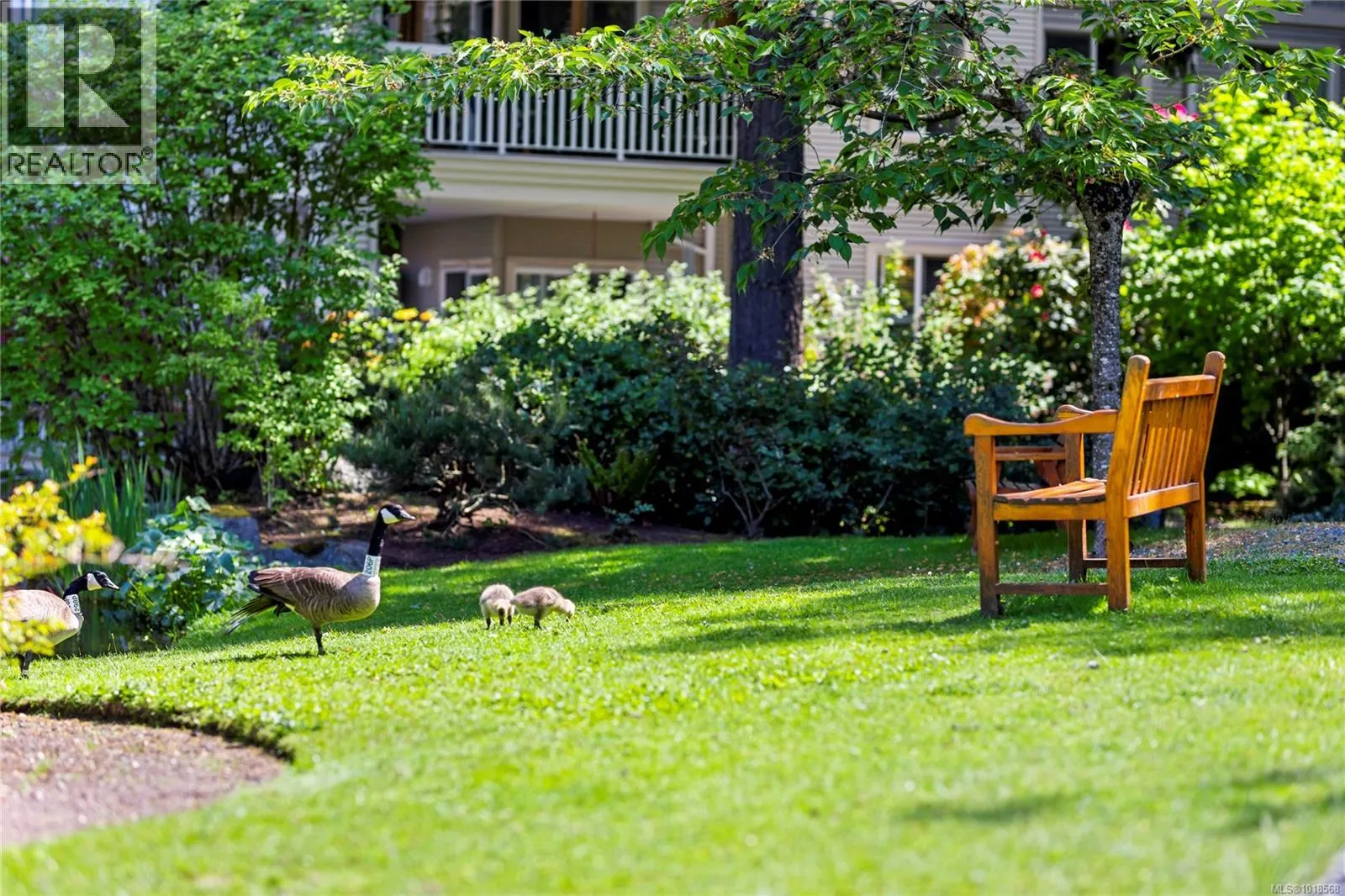 307 5620 Edgewater Lane