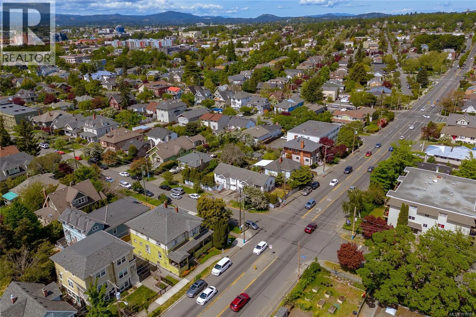 1060+1062 Queens Ave