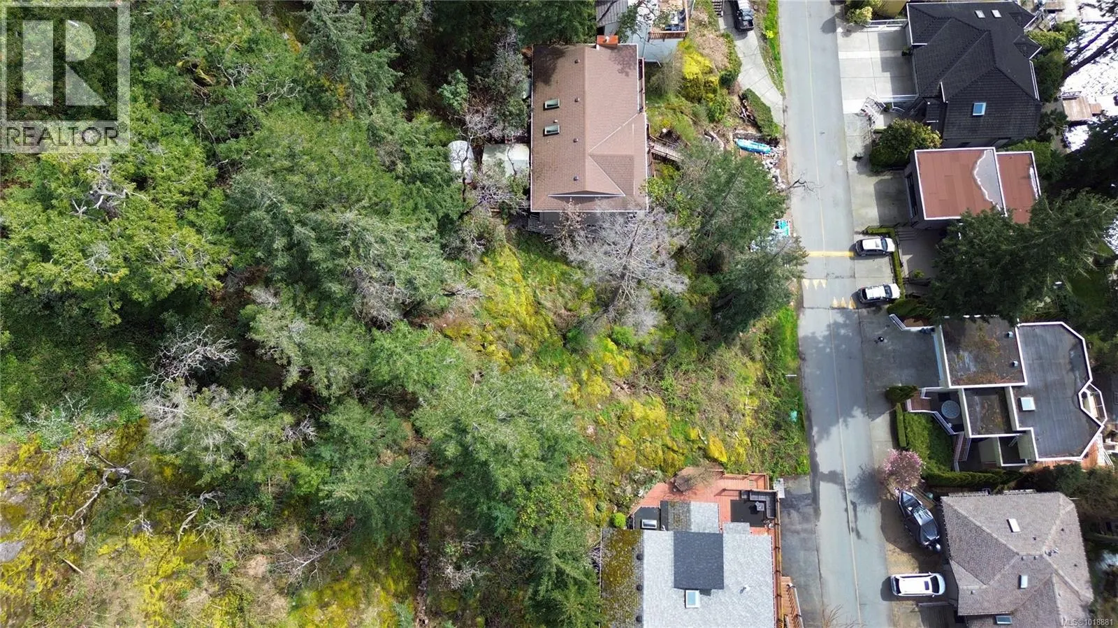 321 Woodhaven Dr