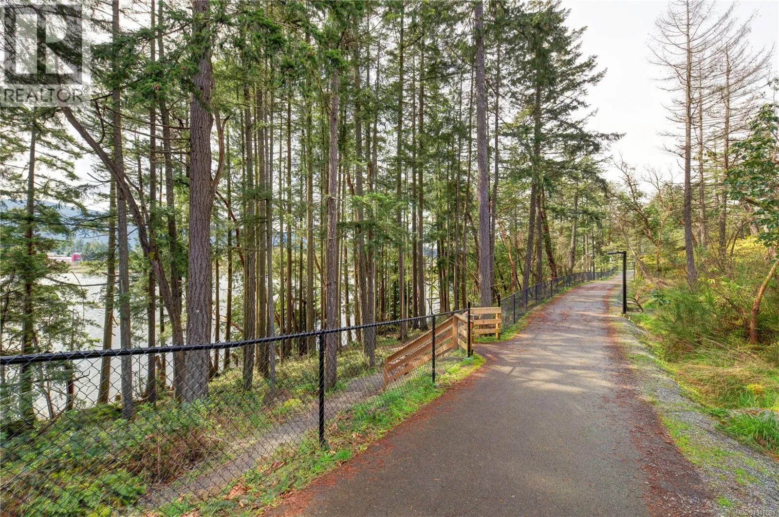 321 Woodhaven Dr