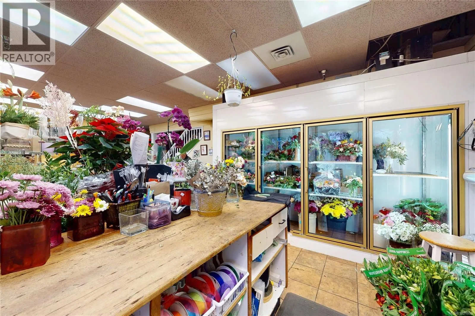 102 2187 Oak Bay Ave