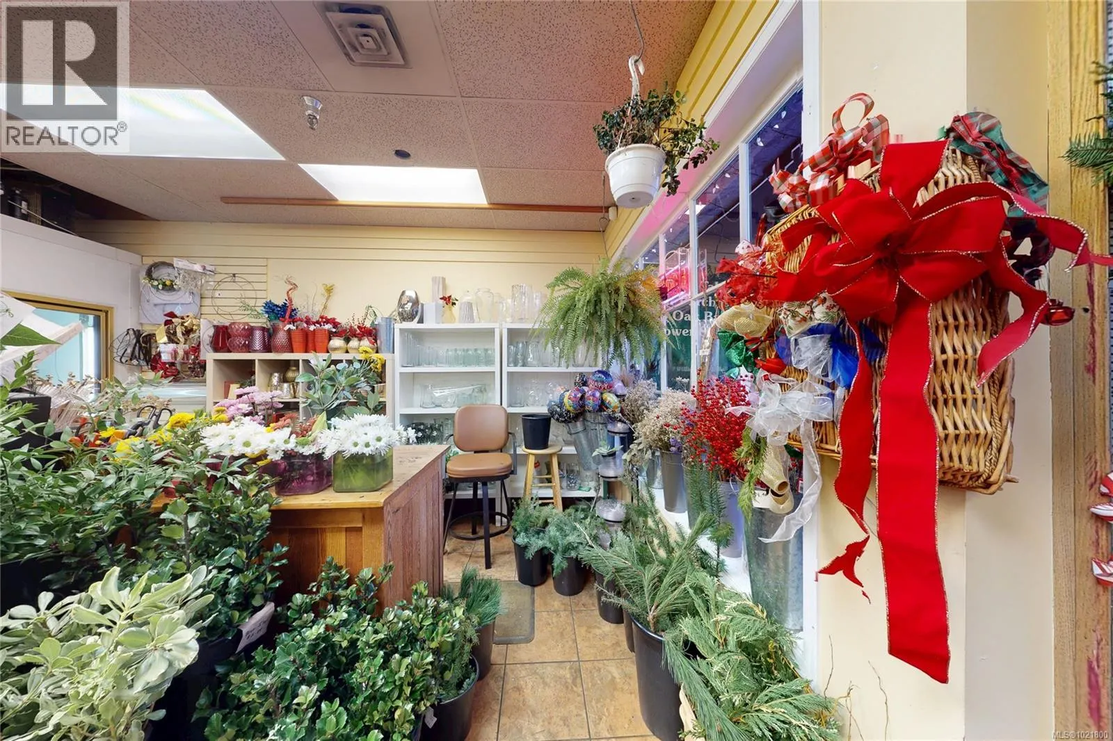 102 2187 Oak Bay Ave