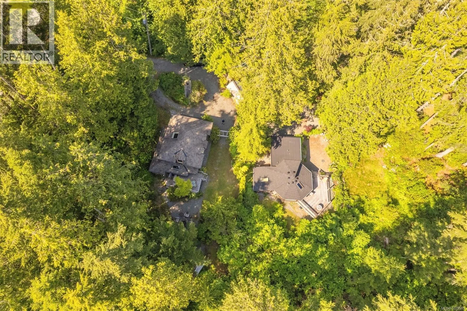 1076 Pacific Rim Hwy