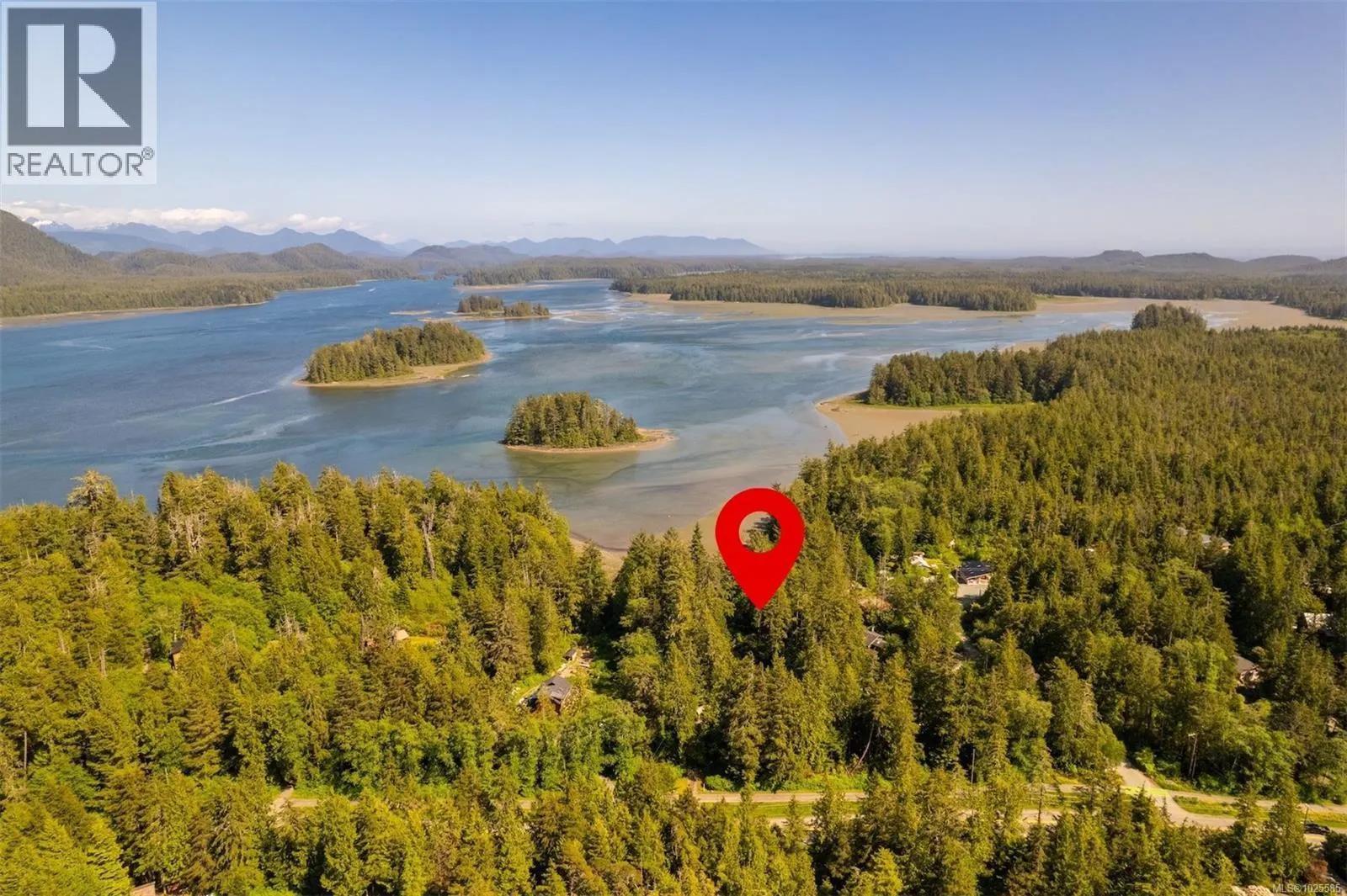 1076 Pacific Rim Hwy