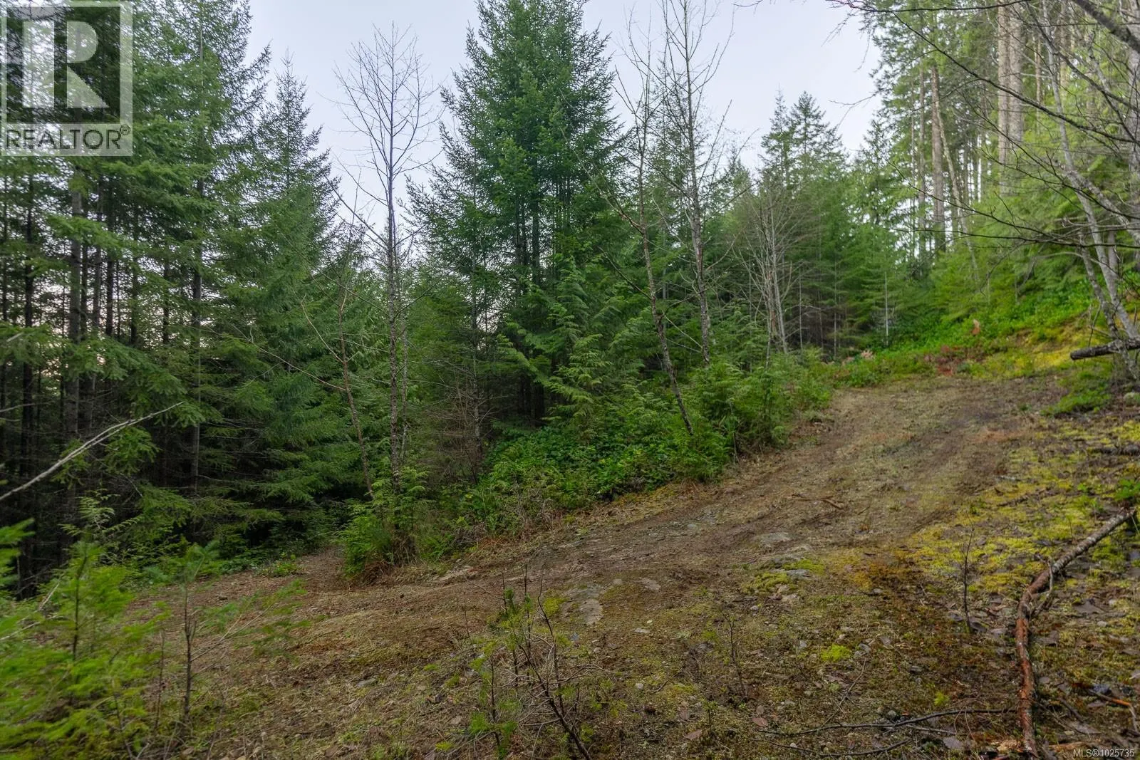 LOT 13 Longview Pl