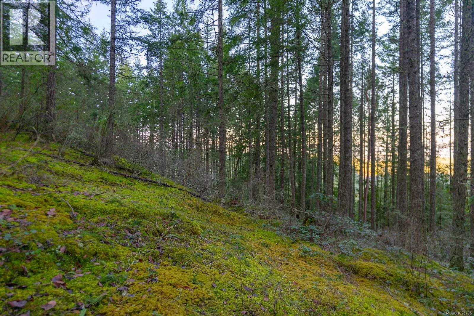 LOT 13 Longview Pl