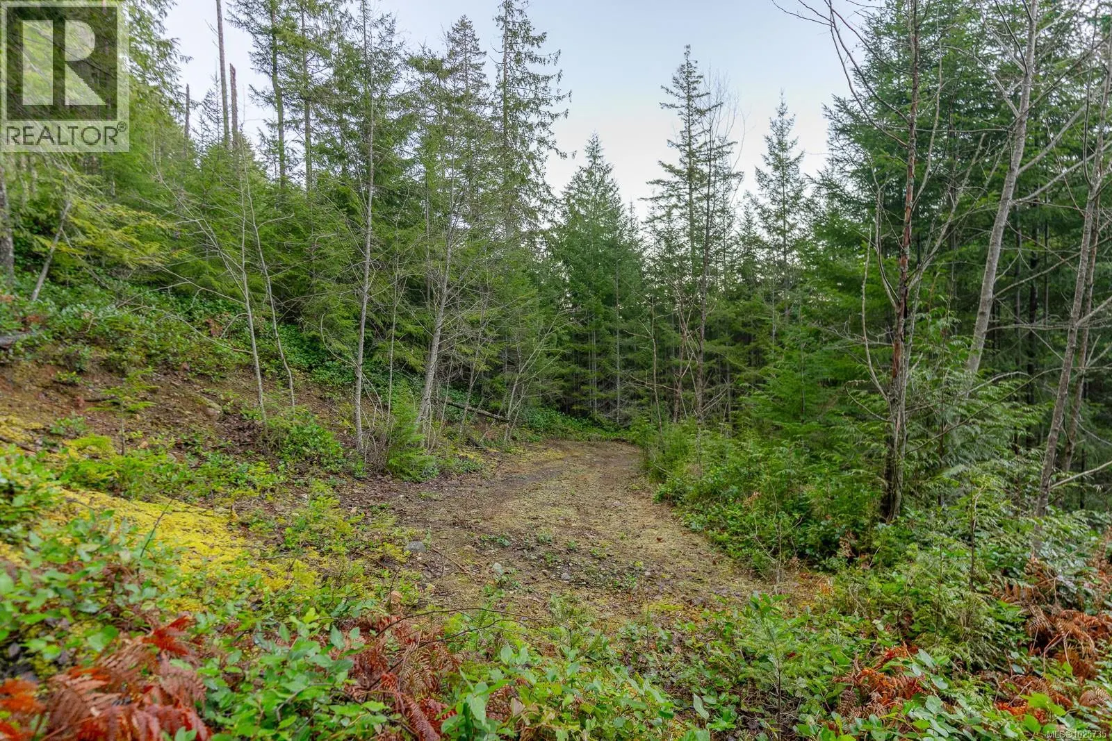 LOT 13 Longview Pl