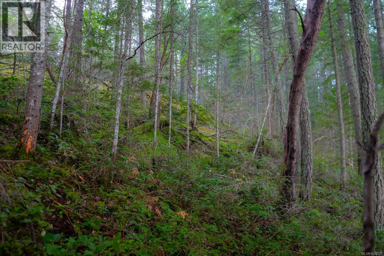 LOT 13 Longview Pl