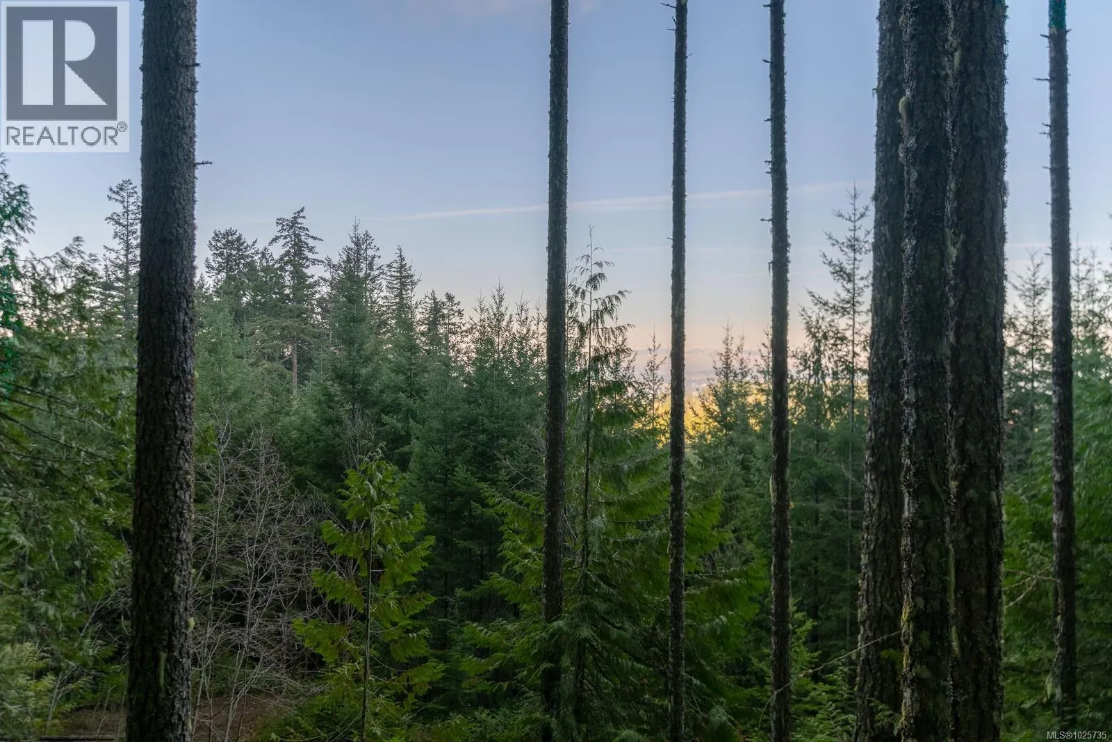 LOT 13 Longview Pl
