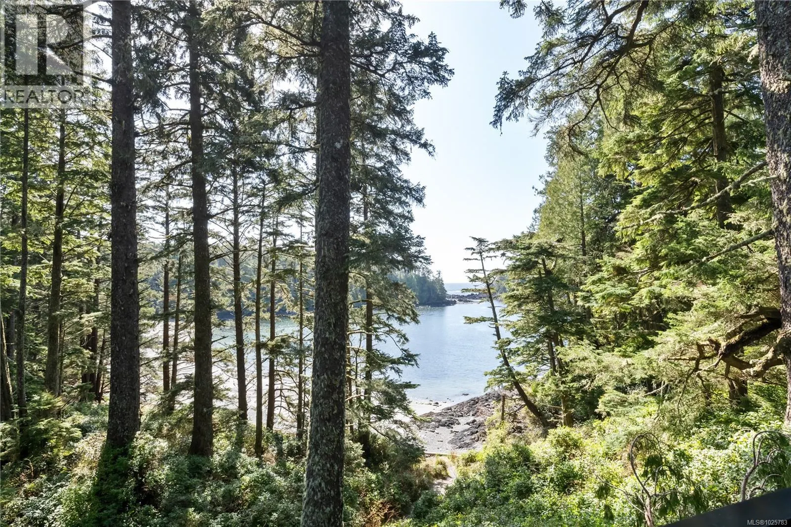 330 Reef point Rd