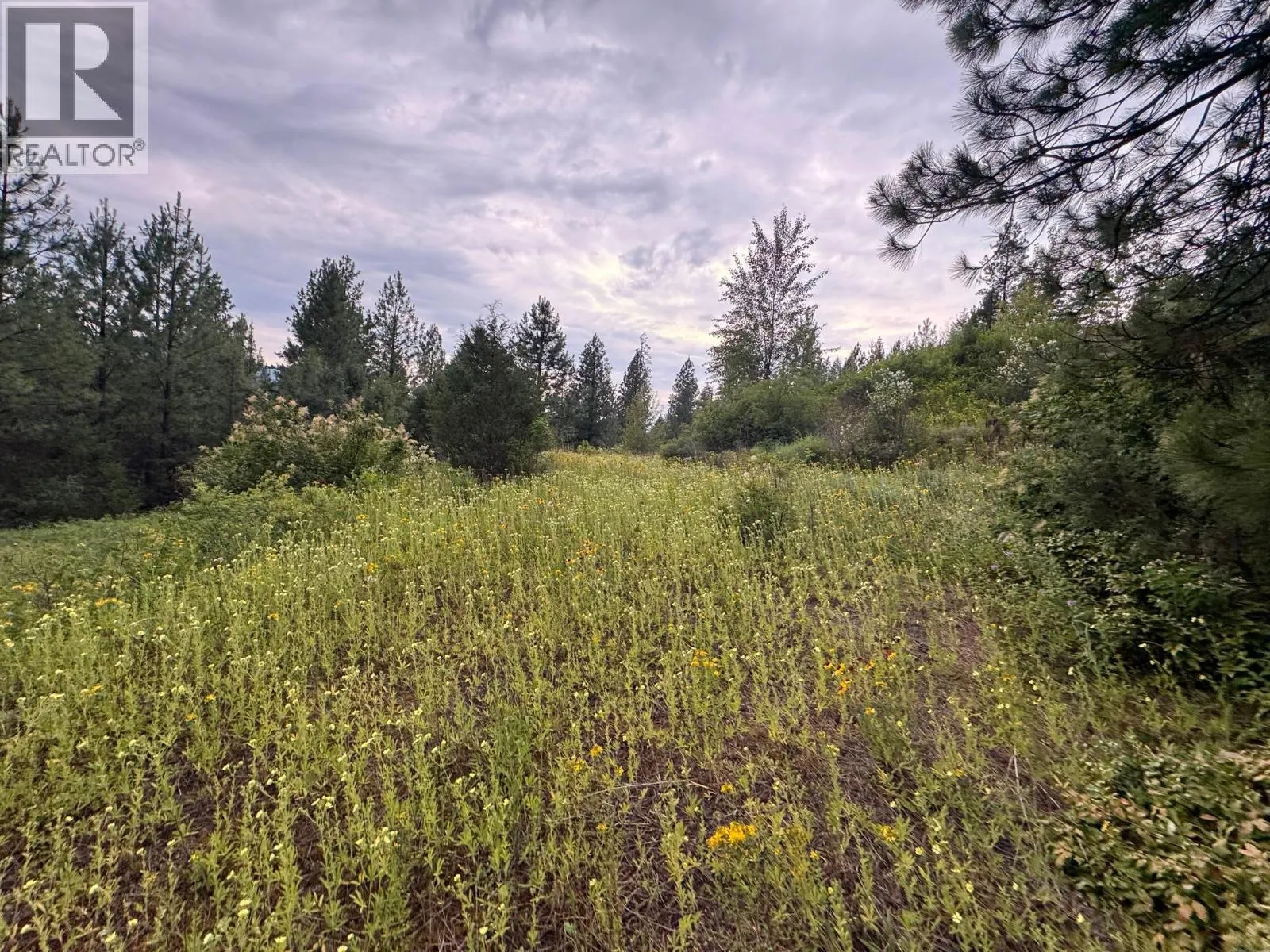 40 Acres Shuswap River Drive