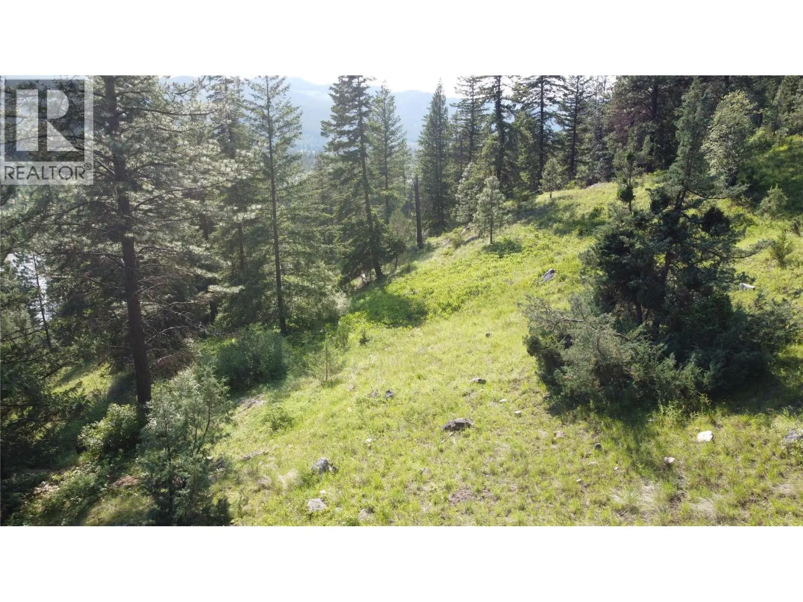 40 Acres Shuswap River Drive