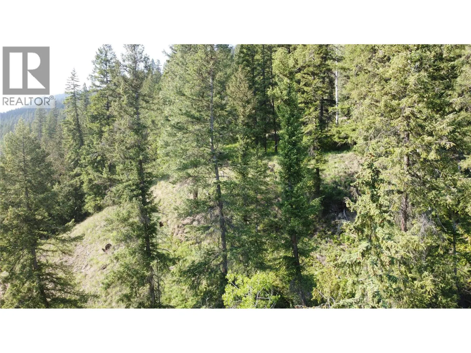 40 Acres Shuswap River Drive