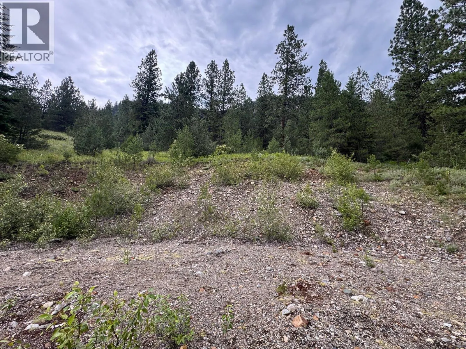 40 Acres Shuswap River Drive