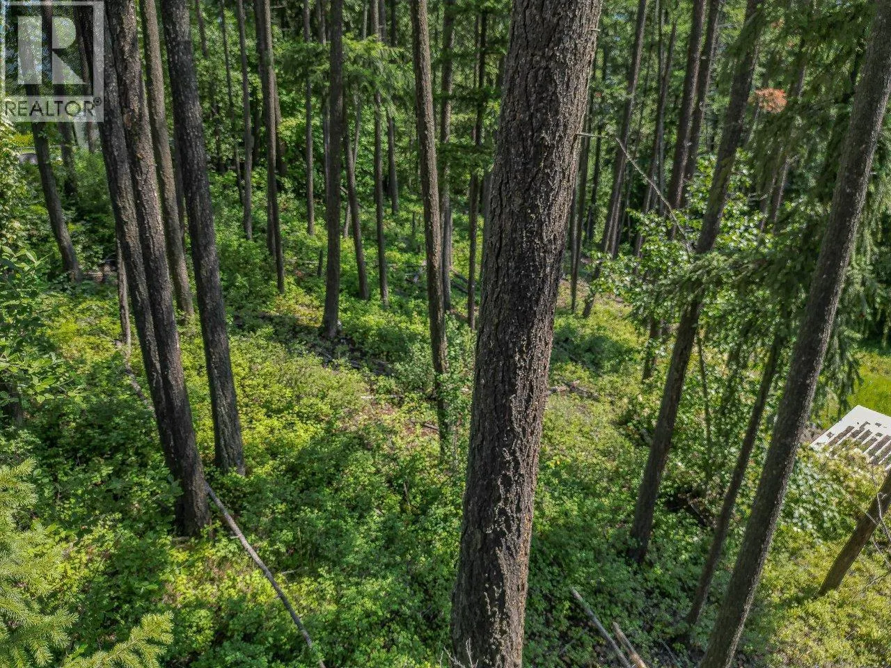 Lot 25 Forest View Place