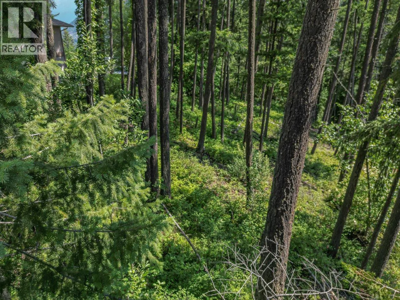 Lot 25 Forest View Place