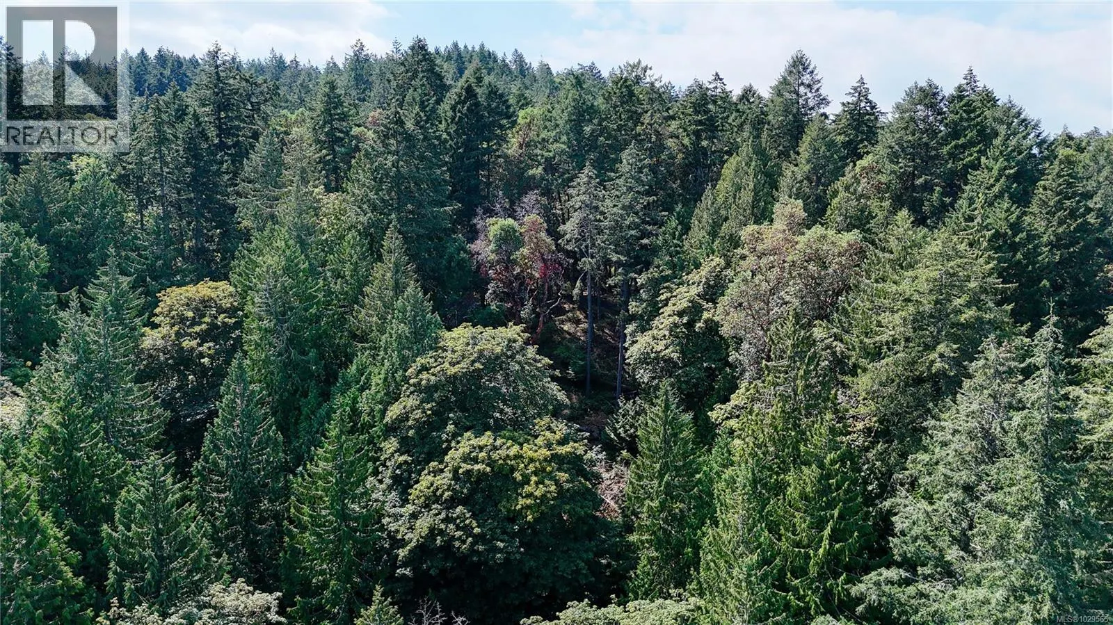 Lot 2 & 4 Willis Point Rd
