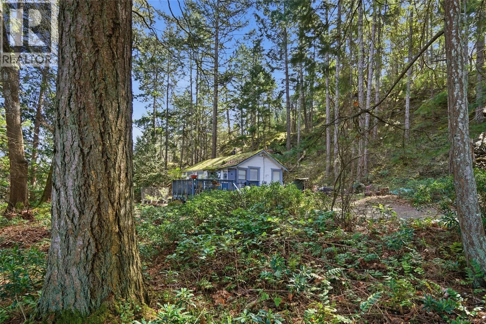 4800 McGuffie Rd