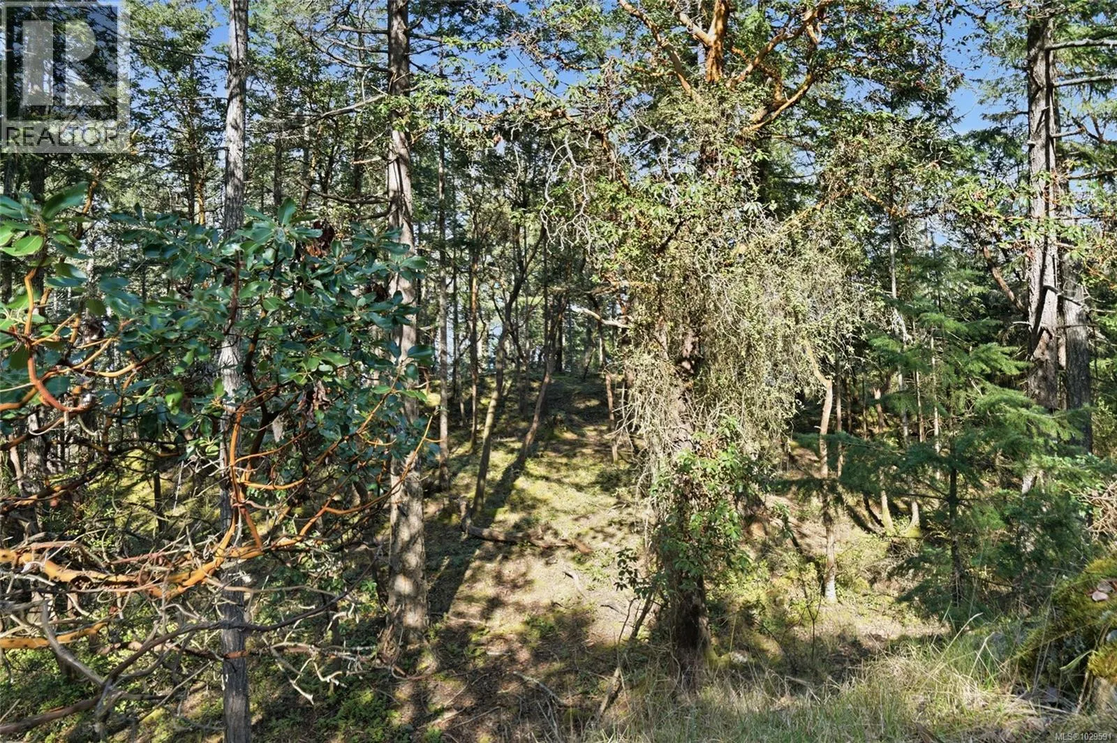 4800 McGuffie Rd