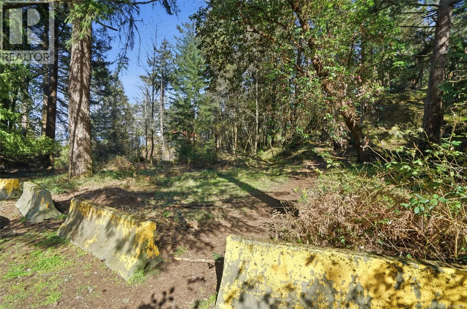 4800 McGuffie Rd