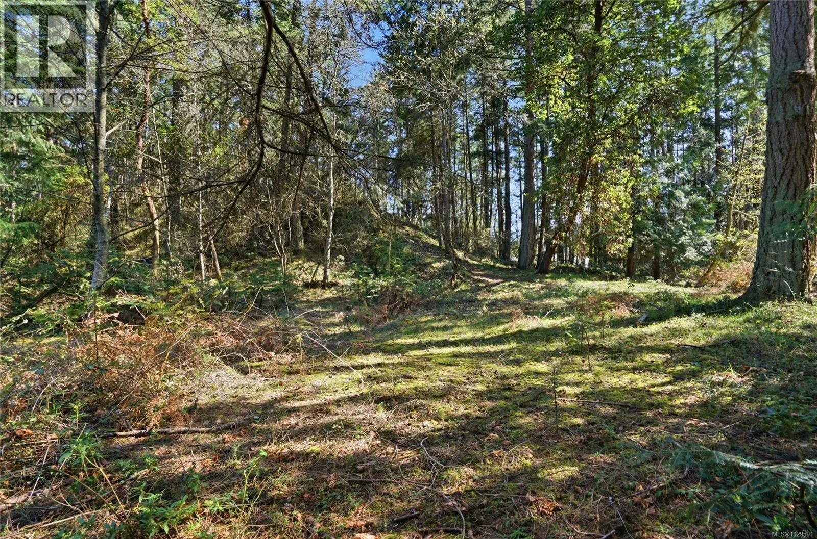4800 McGuffie Rd