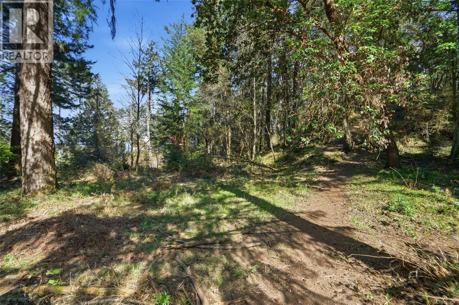 4800 McGuffie Rd