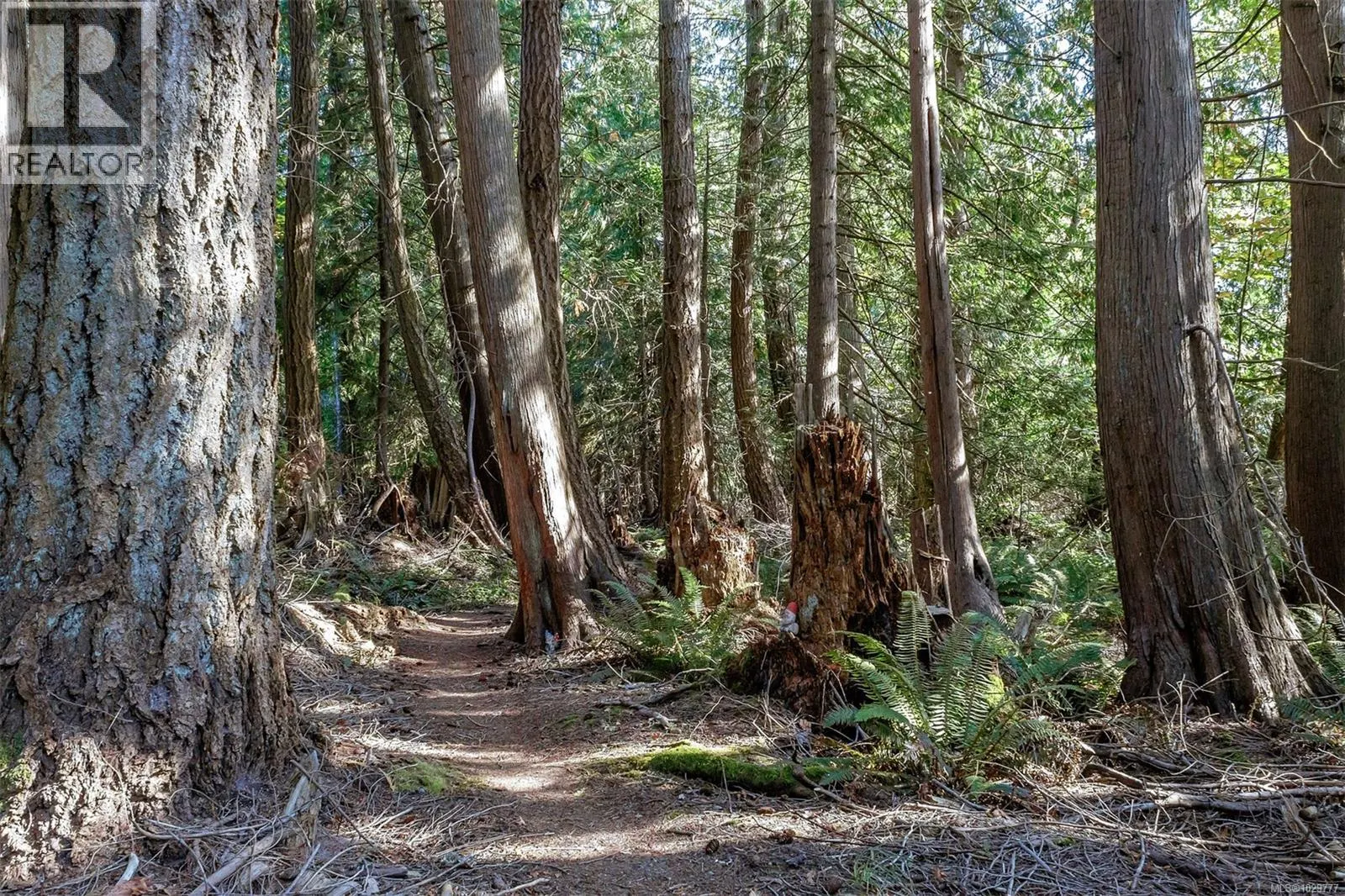 10741 Chemainus Rd