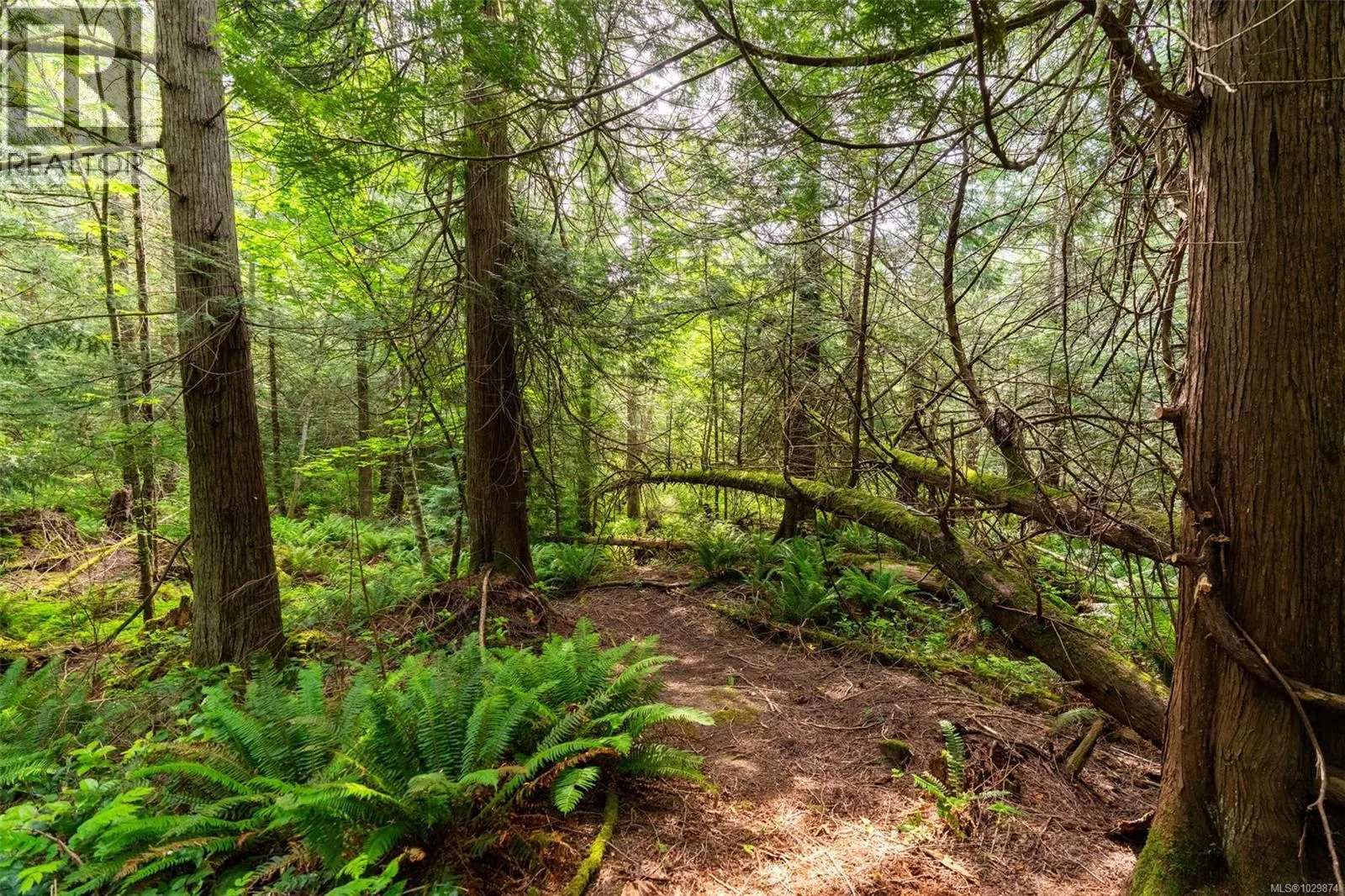 Lot 3 - 384 Seaspray Dr