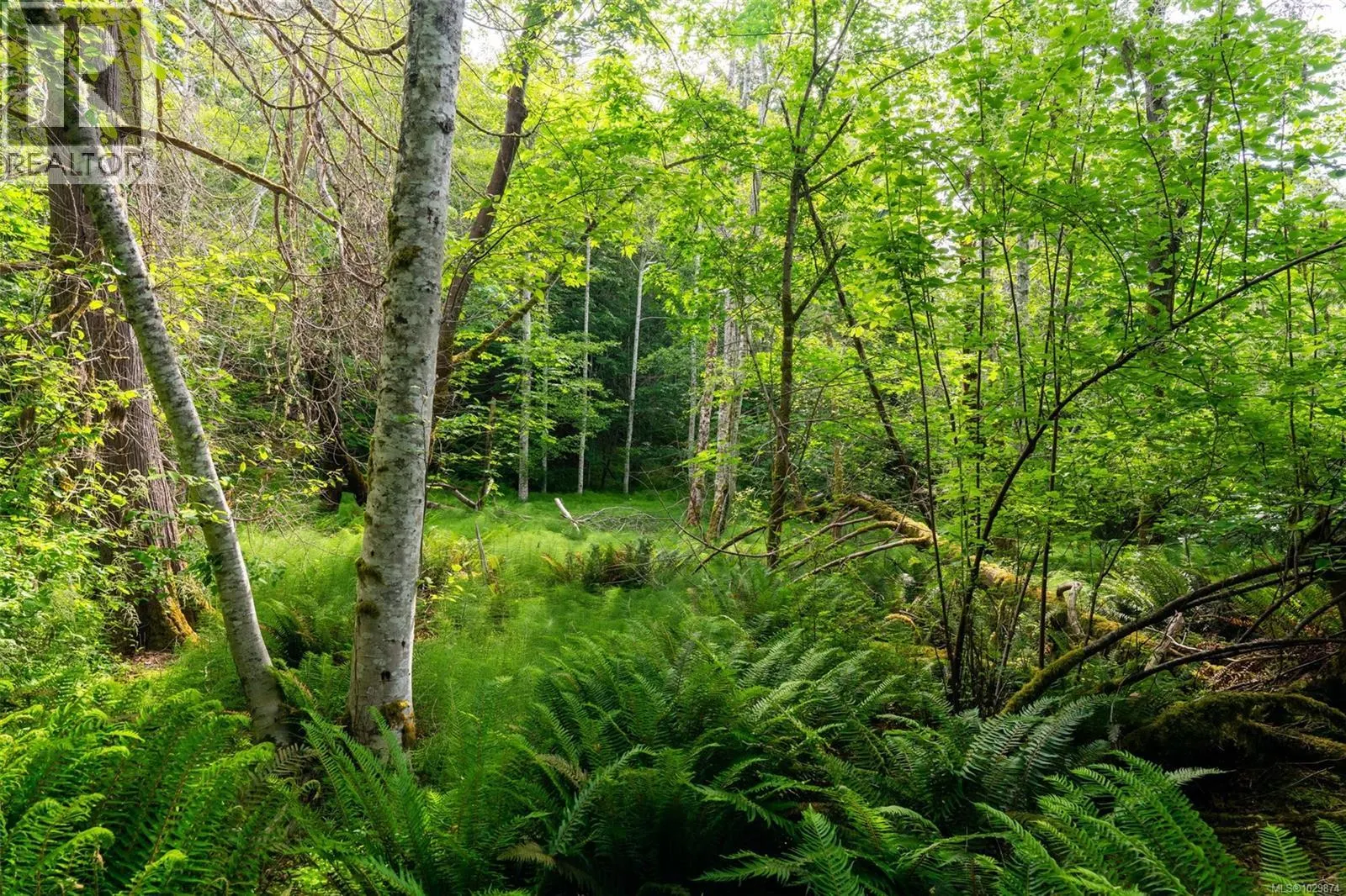 Lot 3 - 384 Seaspray Dr