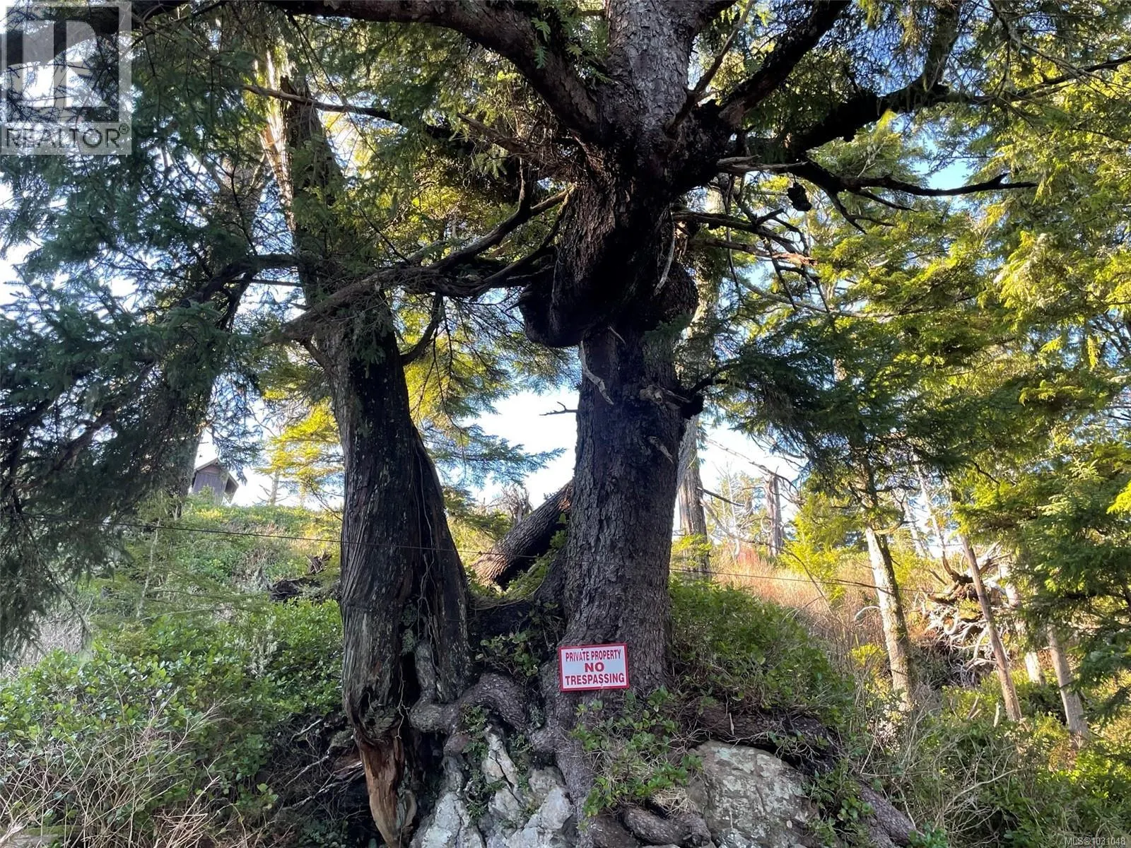 LOT 12 Marine Dr