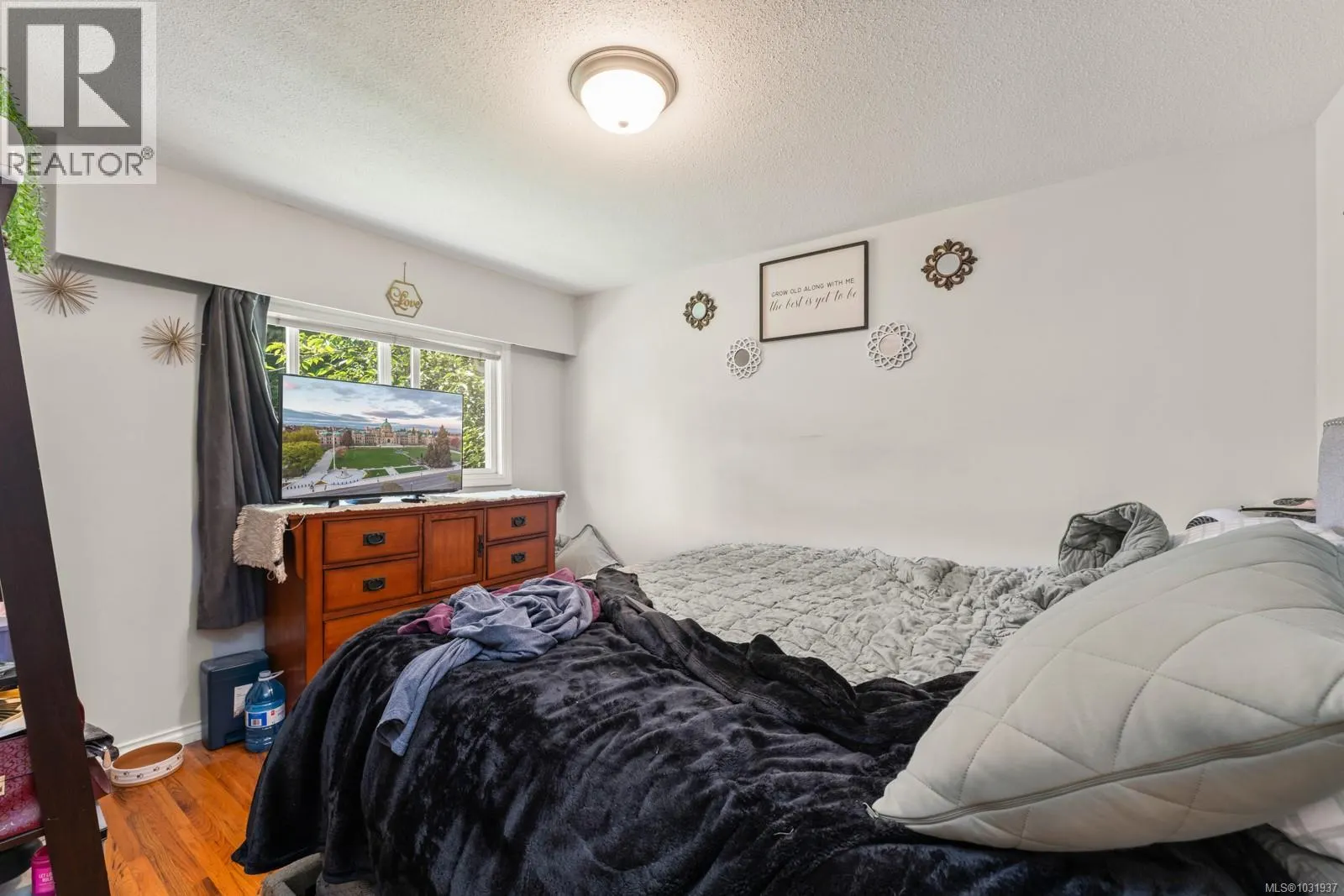 405 Tamarack Rd