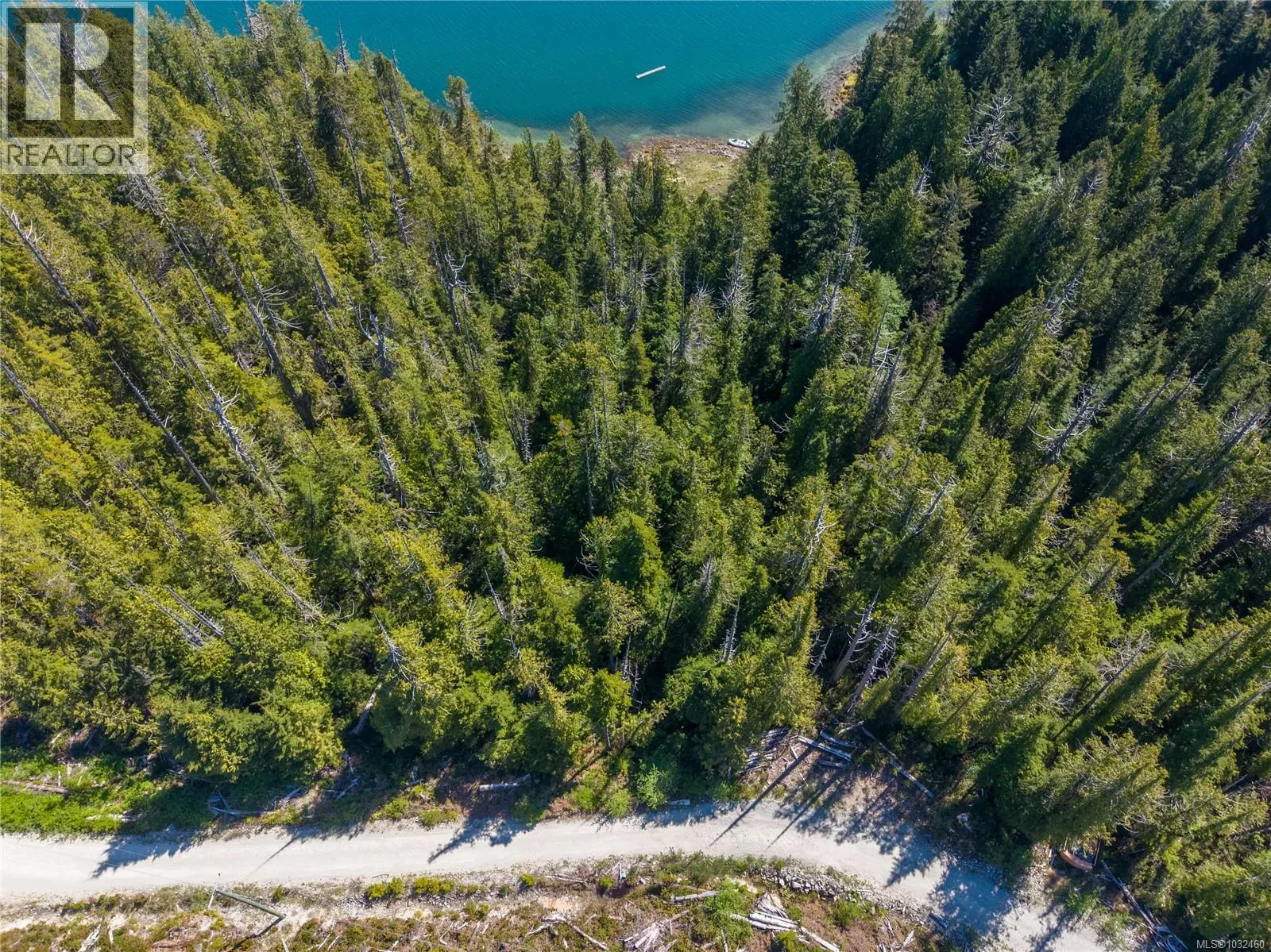 7 Hot Springs Cove