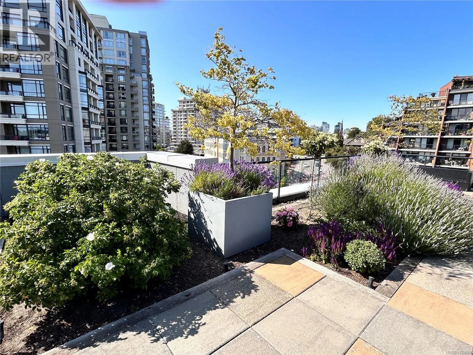 A316 810 Humboldt St