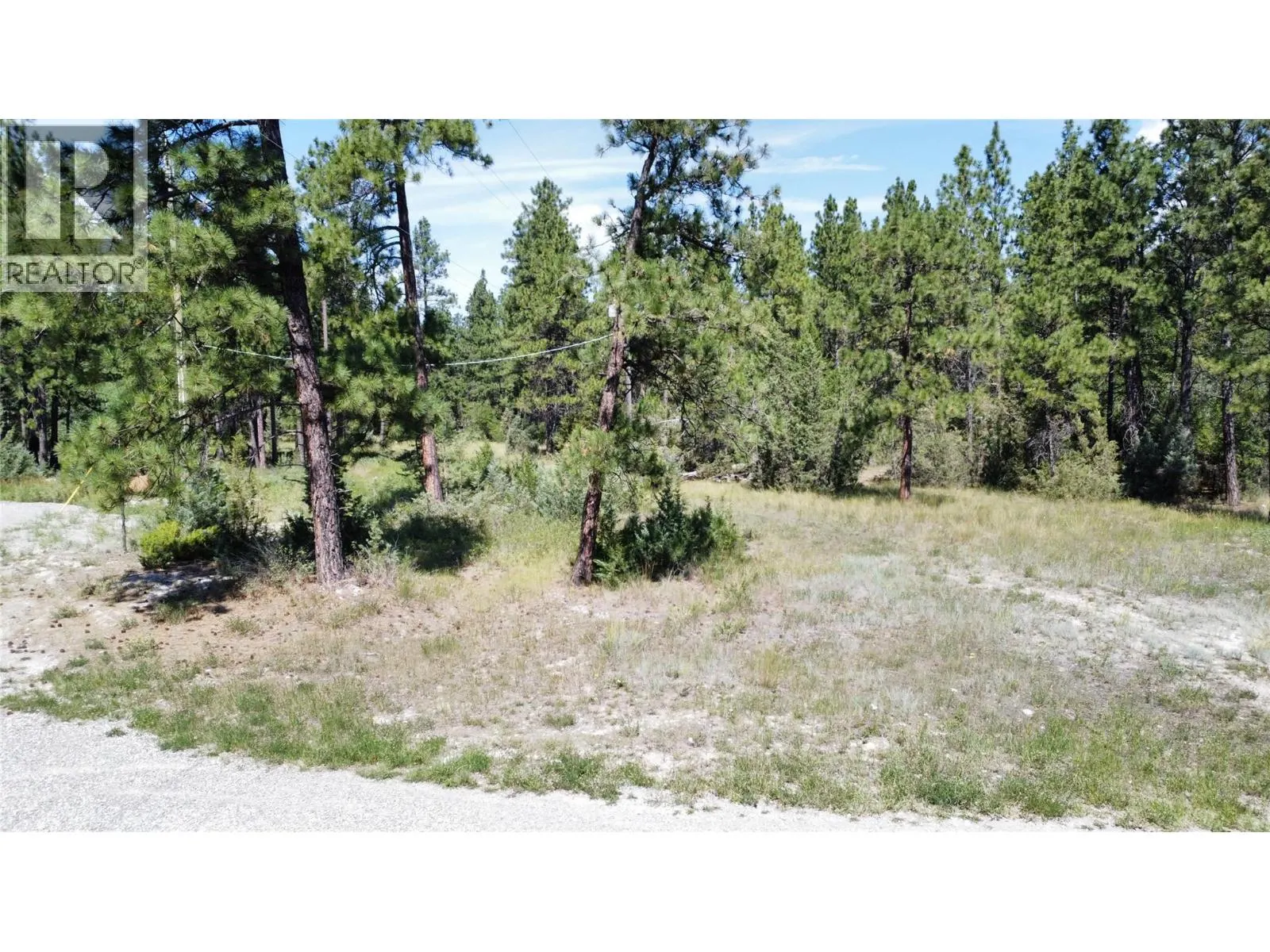LOT 1 TAMARACK Street